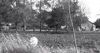 Schermafbeelding 2014-08-26 om 11.52.21