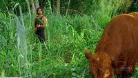 3x11SayidCow