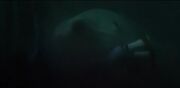Fred's death