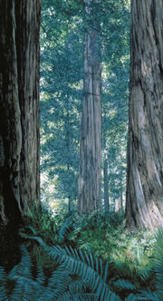 Endor detail.jpg