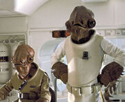 Ackbar.jpg