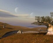 Dantooine-Landschaft1.jpg
