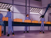 Ace Packing - 03