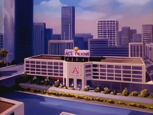 File:Ace Packing - 02.png