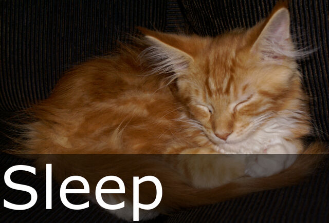 File:Sleep caption.jpg