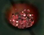 Astrorubies1