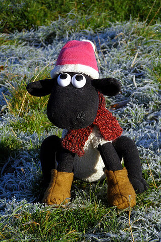 File:Shaun in the Winter.jpg