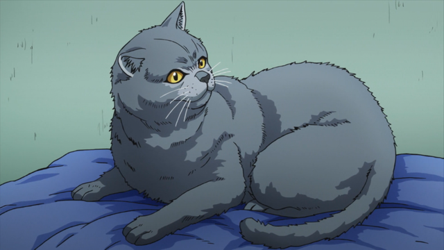 File:Tama sitting on the potato sack.png