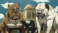 Chibi and Buchi Anime