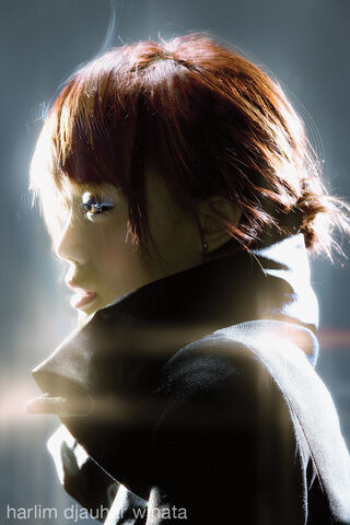 File:Joey Glow Booklet Inside3.jpg