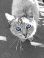 Thumbnail for version as of 23:12, February 17, 2012