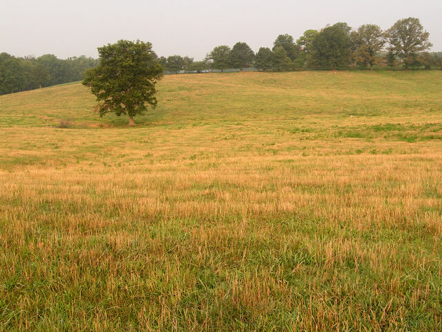 File:Field.jpg