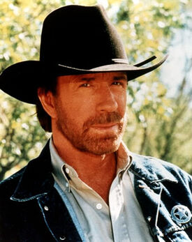 1550715-chuck norris 2