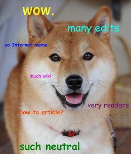 Doge homemade meme