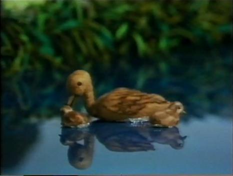 File:Ducks 3.JPG