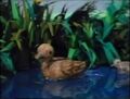 Thumbnail for version as of 11:05, June 26, 2011