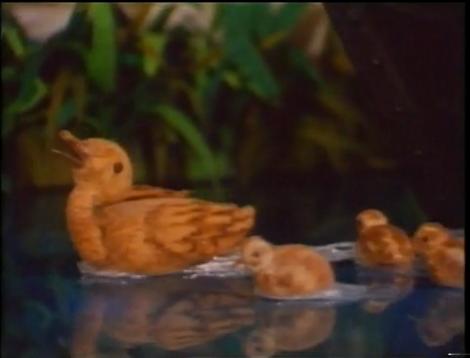 File:Ducks 2.JPG