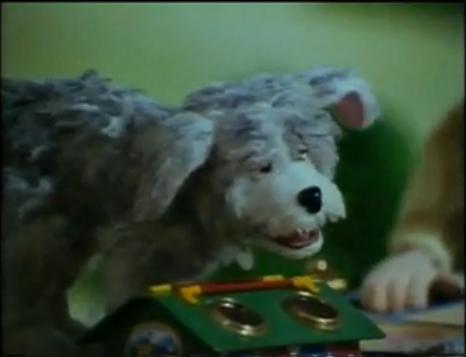 File:Fairportthedog 11.JPG