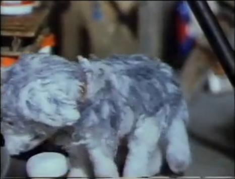 File:Fairportthedog 12.JPG