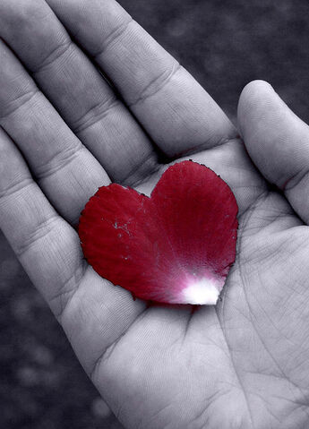 File:Have a Heart Desaturated Free Creative Commons.jpg