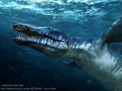Liopleurodon t99