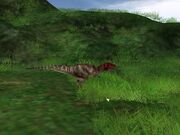 Ceratosaurus 1-1-