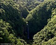 Isla del coco2