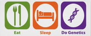 Eat sleep genetics