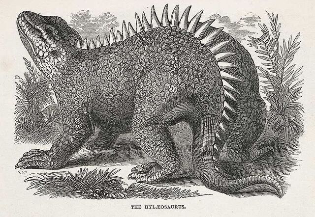 File:800px-Hylaeosaurus.jpg