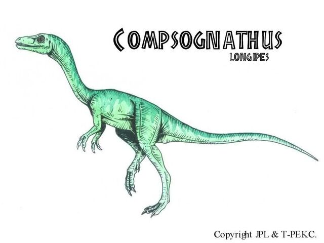 File:Compsognathus.jpg