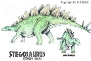 Stegosaurus