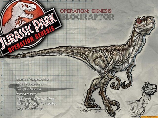 File:Velociraptor W.jpg