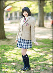 Shiraisaki 2013