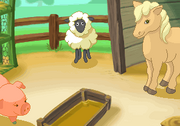 K98 petting zoo dm