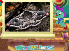 EdisonShowingMoth