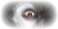 Thumbnail for version as of 08:54, November 23, 2011