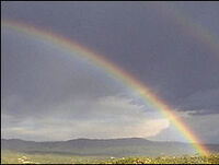 Rainbow.jpg