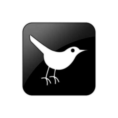 Archivo:099373-twitter-bird3-square.png