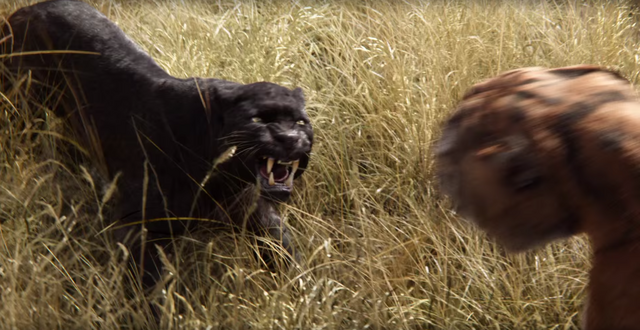 File:Bagheera vs. Shere Khan.png