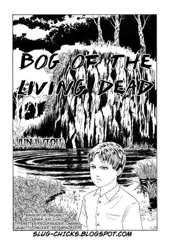 File:Bog.jpg