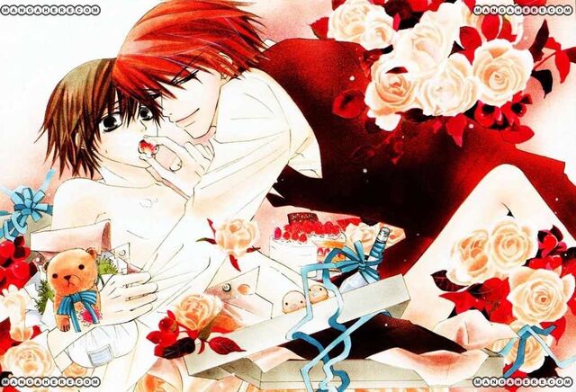 Archivo:MisakiyUsagi.jpg