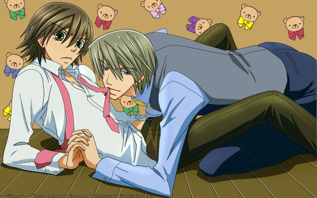 File:Misaki-and-Akihiko-junjou-romantica-10884845-1920-1200.jpg