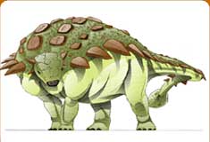 Dc card gargo