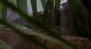 Snake g695V.jpg