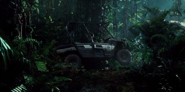 File:Teryx4.jpg