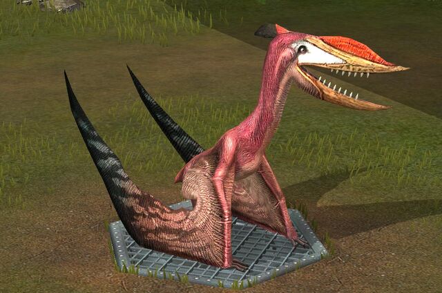 File:Dsungaripterus (18).jpg