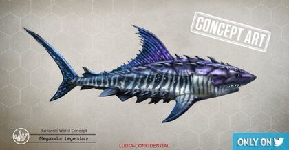 Megalodon (29).jpg