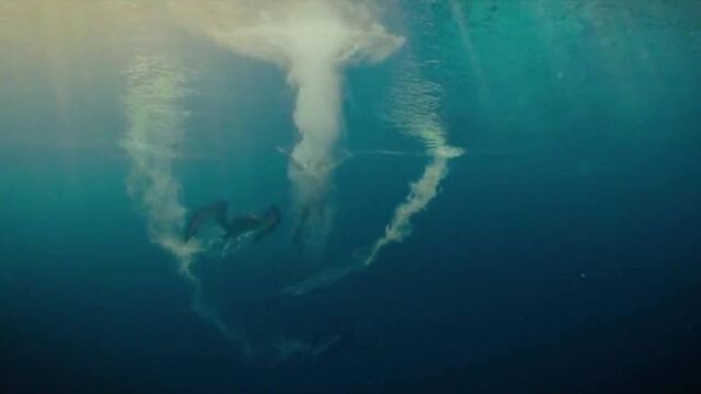 File:Pteranodon-underwater.jpg