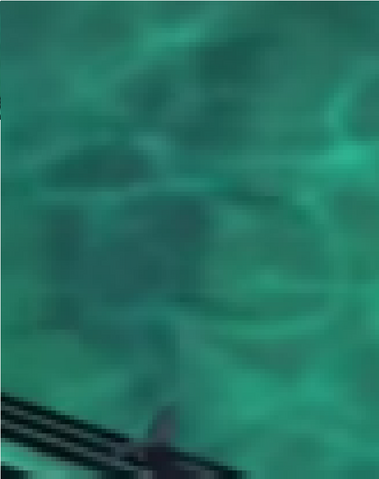 File:Mosassauro-0.png
