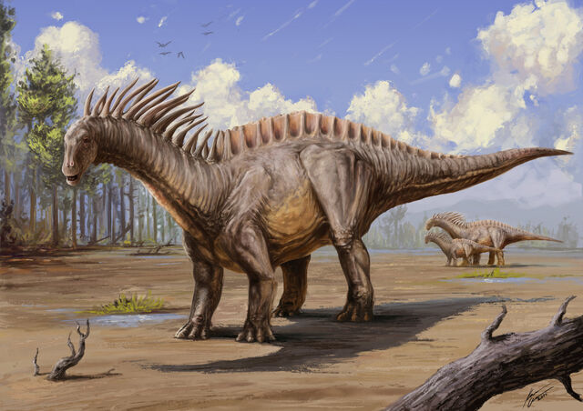 File:Karel-cettl-amargasaurus2.jpg